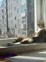Знакомства в г. Москва: KOT, 26 - ищет от 21  до 32