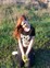 Знакомства в г. Оренбург: Nasty_Witch, 18 - ищет Парня