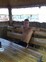 Знакомства в г. Москва: sasha, 24 - ищет Девушку