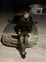 Знакомства в г. Рязань: Алёна, 29 - ищет Парня
