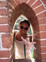 Знакомства в г. Москва: cool, 25 - ищет Девушку