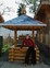 Знакомства в г. Москва: Stasia, 35 - ищет Парня