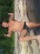 Знакомства в г. Новосибирск: BigCityBoy, 30 - ищет Девушку от 18  до 35