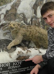 Кот из Хабаровск ищет Девушку