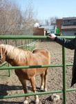 Евгений из Благовещенск (Амурская обл.) ищет Девушку